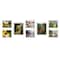 Wexel Art Gallery Wall Single Panel Acrylic Floating Frames & Magnets Set of 8